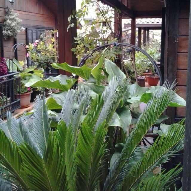 Cabanas Valle Verde Мойя Экстерьер фото