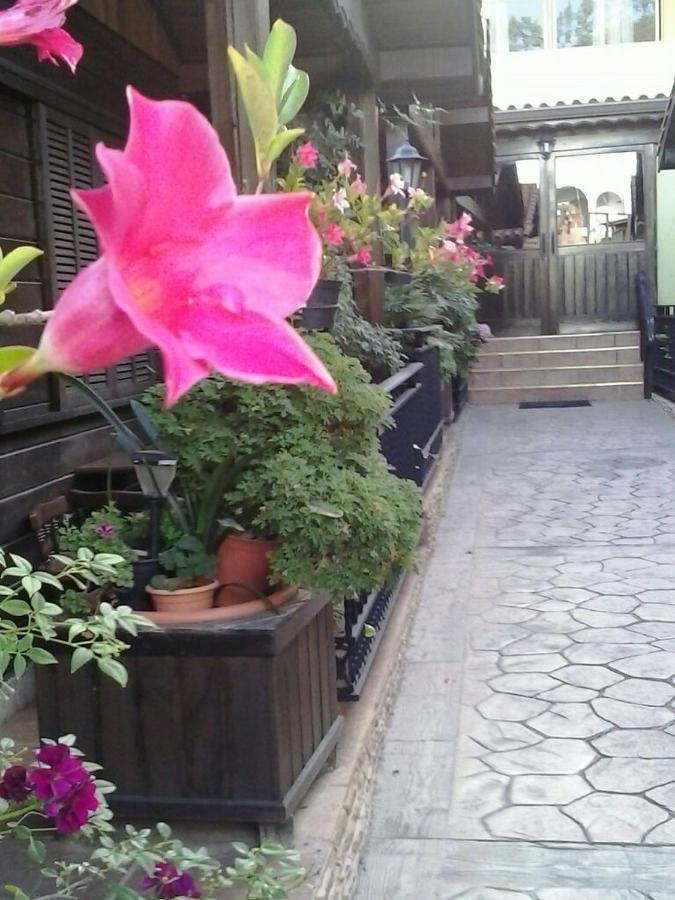 Cabanas Valle Verde Мойя Экстерьер фото
